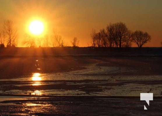 February 1, 2026 Sunset Swans Icicles Moon 4971