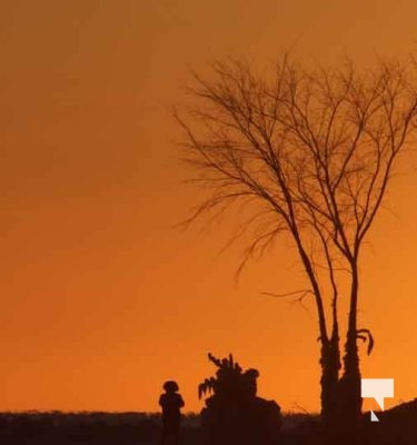 February 1, 2026 Sunset Swans Icicles Moon 4972