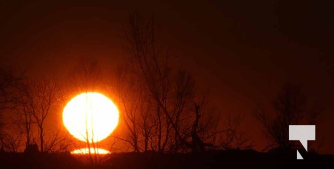 February 1, 2026 Sunset Swans Icicles Moon 4973