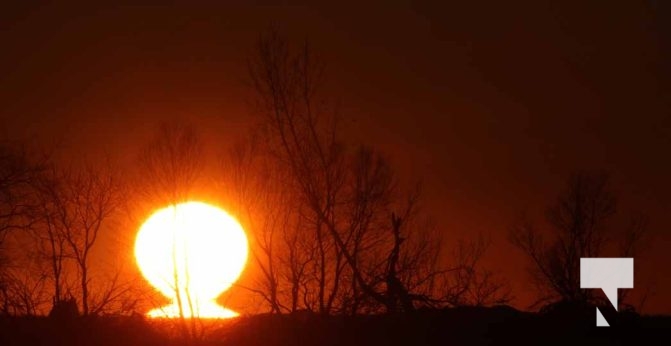 February 1, 2026 Sunset Swans Icicles Moon 4974