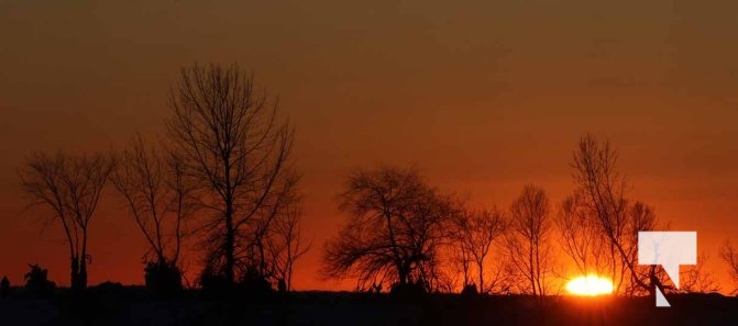 February 1, 2026 Sunset Swans Icicles Moon 4975