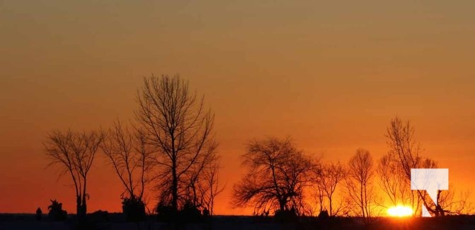 February 1, 2026 Sunset Swans Icicles Moon 4976