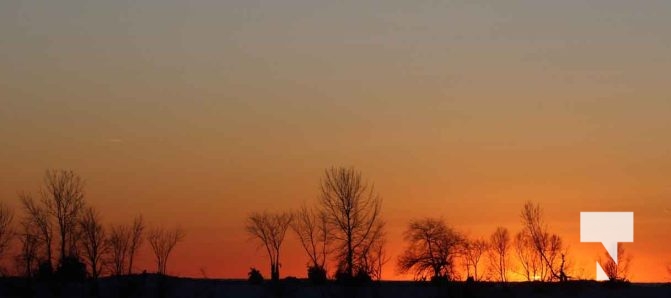 February 1, 2026 Sunset Swans Icicles Moon 4978