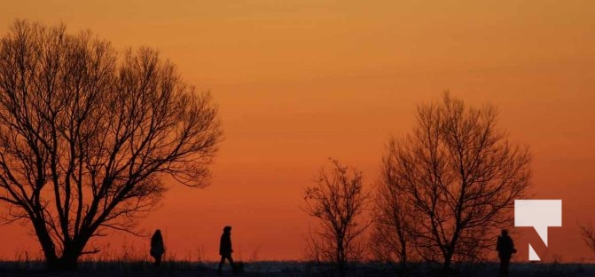 February 1, 2026 Sunset Swans Icicles Moon 4980