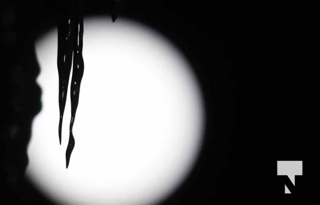 February 1, 2026 Sunset Swans Icicles Moon 4985