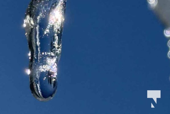 February 1, 2026 Sunset Swans Icicles Moon 4986.JPEG