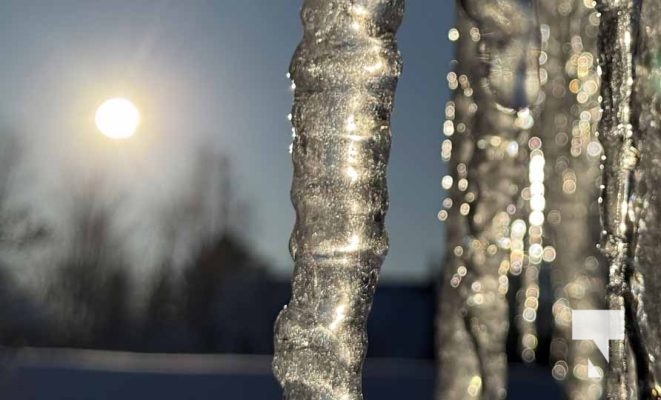 February 1, 2026 Sunset Swans Icicles Moon 4988.JPEG