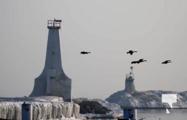 February 17, 2026 Lighthouse0081