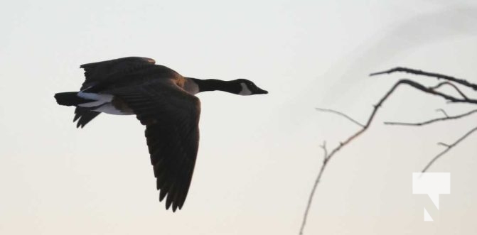 February 4, 2026 Winter Lighthouse Harbour Night 5045