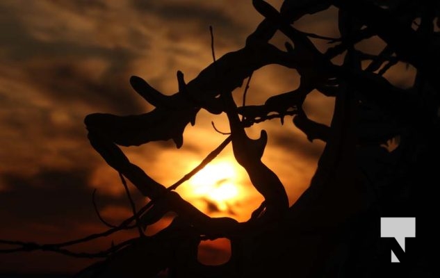 February 4, 2026 Winter Lighthouse Harbour Night 5050