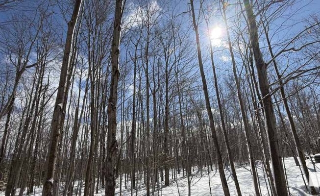 March 14, 2026 Warkworth Maple Syrup Festival 0043