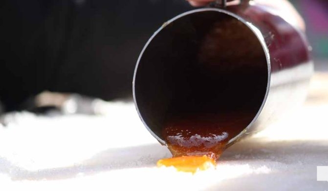 March 14, 2026 Warkworth Maple Syrup Festival 0046