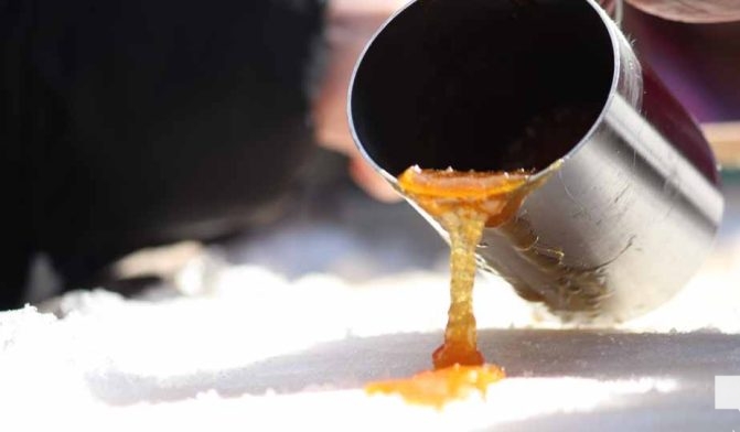 March 14, 2026 Warkworth Maple Syrup Festival 0047