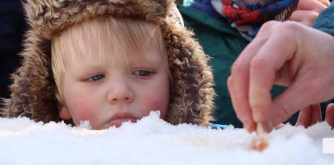 March 14, 2026 Warkworth Maple Syrup Festival 0049