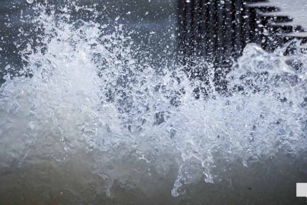 March 17, 2026 Waves 0110