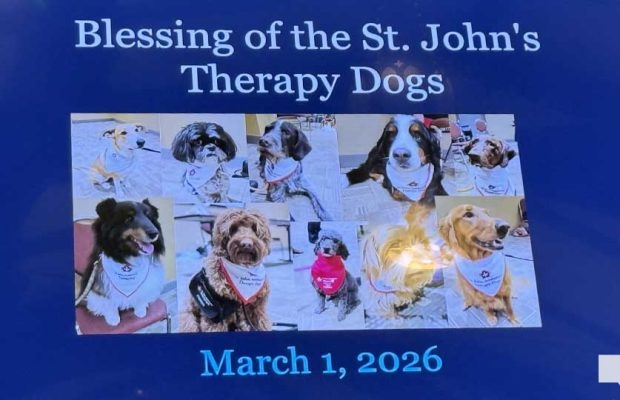 March 2, 2026 Blessing of the St Johns Therapy Dogs0294