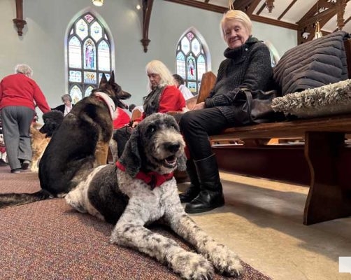 March 2, 2026 Blessing of the St Johns Therapy Dogs0295