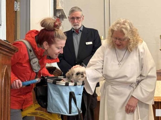 March 2, 2026 Blessing of the St Johns Therapy Dogs0296