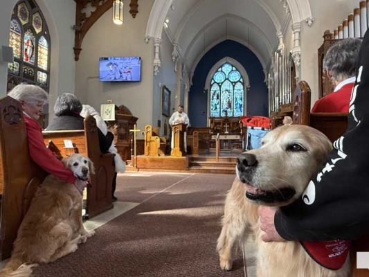 March 2, 2026 Blessing of the St Johns Therapy Dogs0300