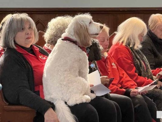 March 2, 2026 Blessing of the St Johns Therapy Dogs0302