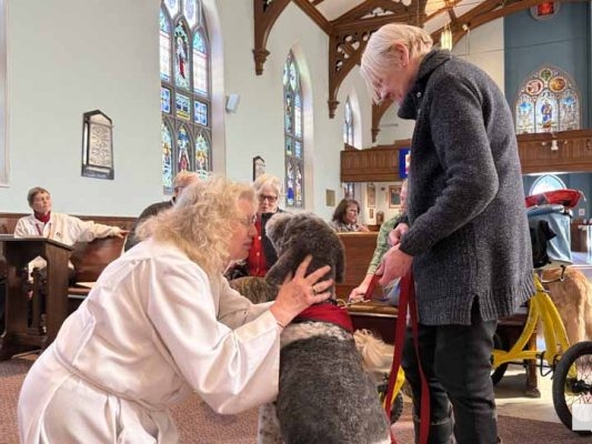 March 2, 2026 Blessing of the St Johns Therapy Dogs0308