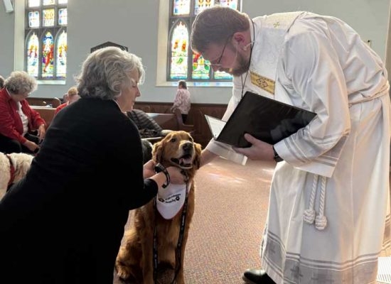March 2, 2026 Blessing of the St Johns Therapy Dogs0309