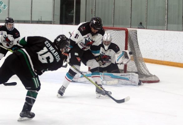 March 20, 2026 Northumberland Stars Provincial Playoff Game 1 0162