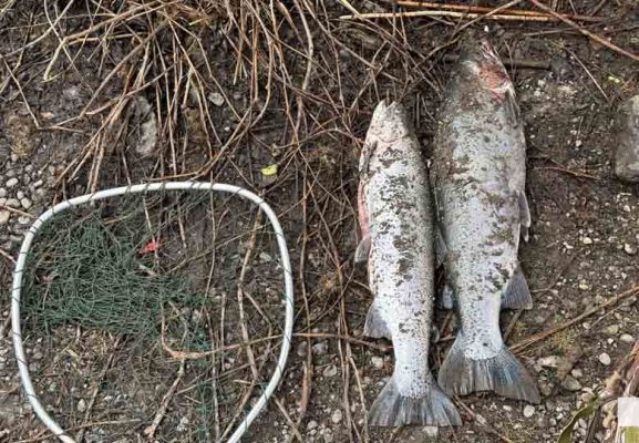 March 22, 2026 MNRF Enforcement 0189