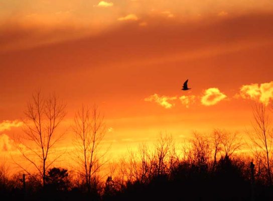 March 27, 2026 Sunset 0370