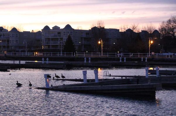March 27, Cobourg Sinking Docks 0382