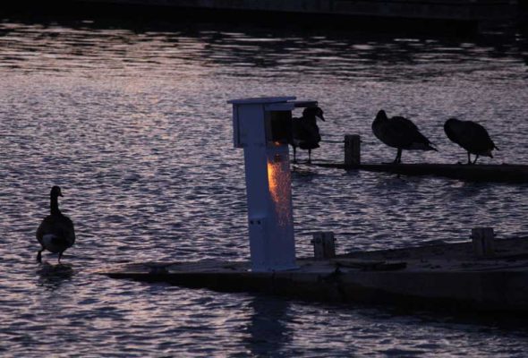 March 27, Cobourg Sinking Docks 0383