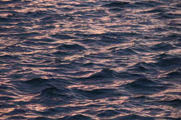 March 27, Water 0378