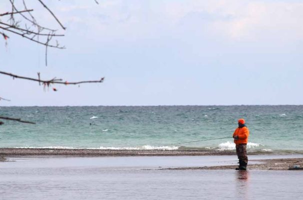 March 30, 2026 Peace Park Fishing 0467