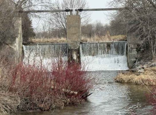 March 30, 2026 Pratts Pond Cobourg Creek 0460