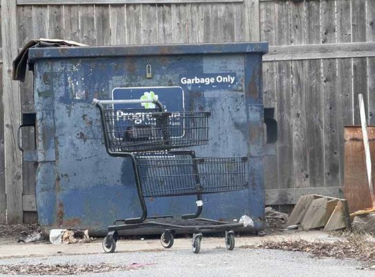 March 30, 2026 Shopping Cart 0453