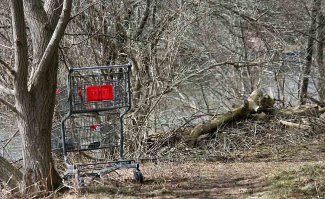 March 30, 2026 Shopping Cart 0454