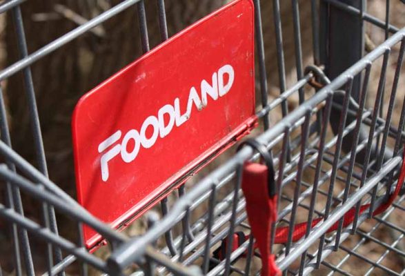 March 30, 2026 Shopping Cart 0455