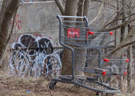 March 30, 2026 Shopping Cart 0456