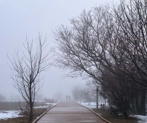 March 7, 2026 Cobourg Boardwalk fog0372