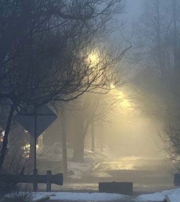 March 7, 2026 Fog0365