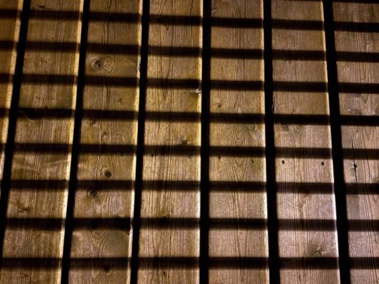 March 7, 2026 Shadows0370