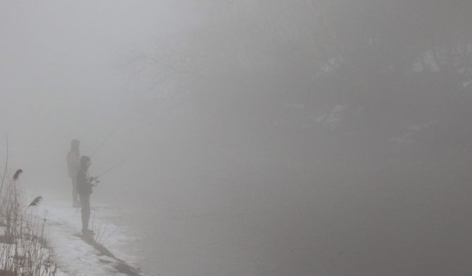 March 7, 2026 fog cobourg creek0337