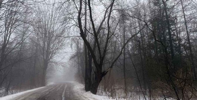 March 7, 2026 fog road0351