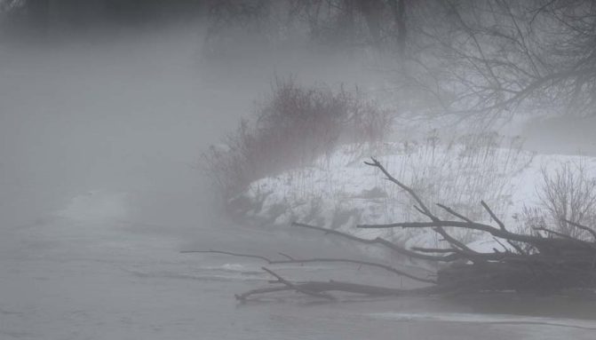 March 7, 2026 fog water0333