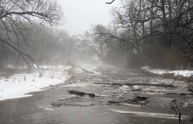 March 7, 2026 gages creek0352