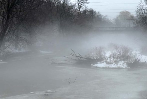 March 7, 2026 ganaraska river0348 (seqn}