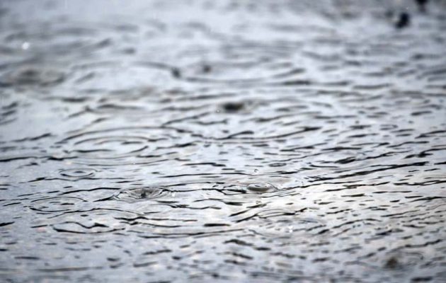 March 7, 2026 rain drops0325