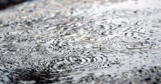 March 7, 2026 rain drops0326