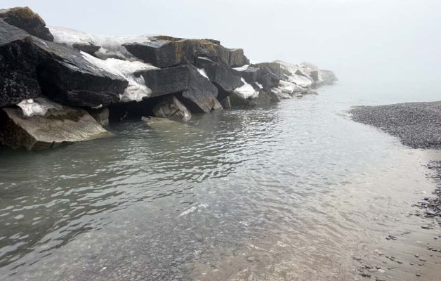 March 7, 2026 winter thaw (seqn}