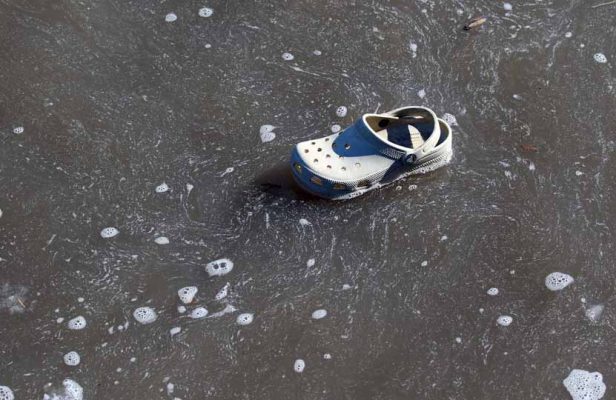 March 8, 2026 Croc Ganaraska River0386